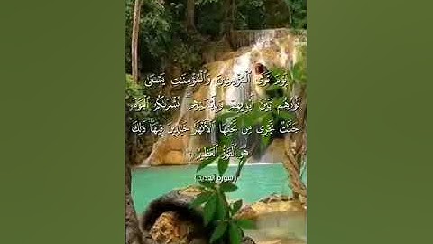 القارئ ابراهيم شرف ابوطالب Ibrahim Sharaf Abutaleb