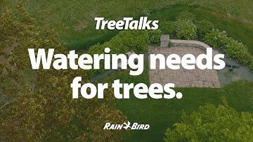 Rain Bird Tree Talks - Watering Needs For Trees (Social)
