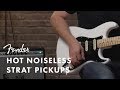Hot Noiseless Pickups | Fender