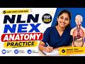 NLN NEX Anatomy Practice| Anatomy Review#nlnnex #nursingentranceexam #testprep
