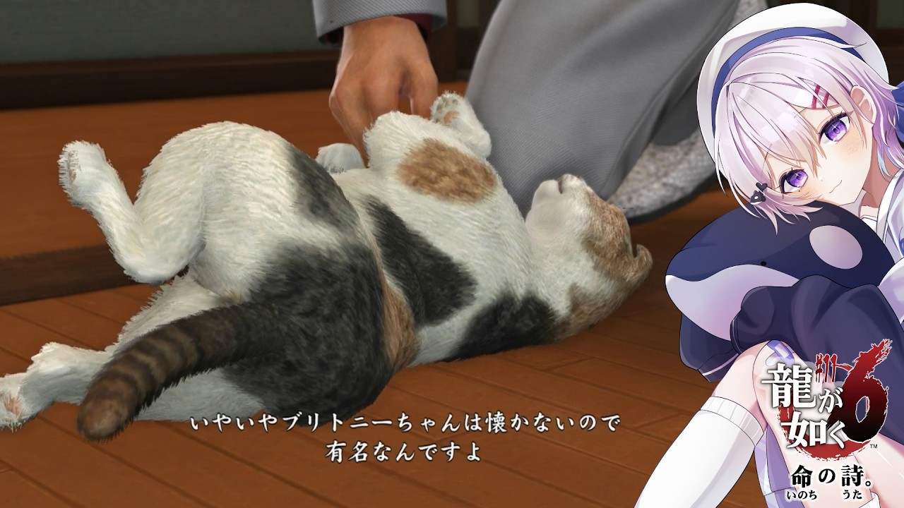A Cat That Fawns Over the Strong🐈‍⬛🎀 #11 【 #Yakuza6 】 - YouTube