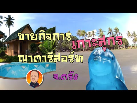 ขายกิจการ ญาตารีสอร์ท บนเกาะสุกรเนื้อที่16ไร่