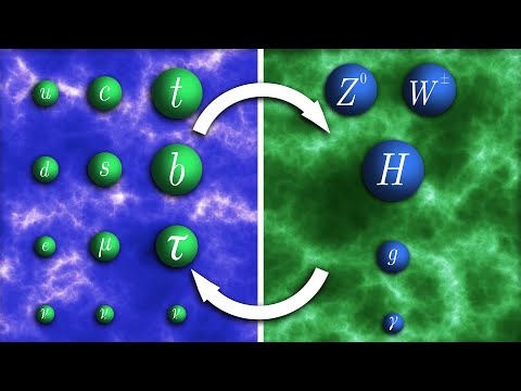 ¿Qué son los Bosones y los Fermiones?