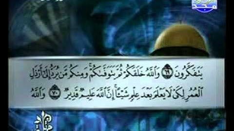 سورة النحل الشيخ توفيق الصائغ Al-Nahl2/3