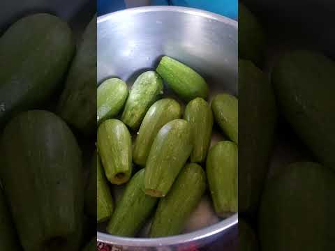 بدي اعمل محشي كوسا صحتين وعافيه على قلبكم