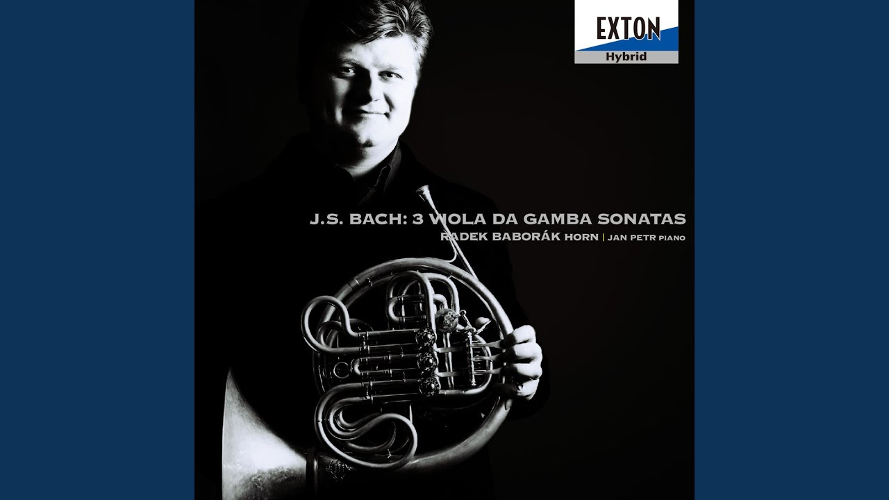 Ver Viola da gamba Sonata No. 2 in D Major, BWV. 1028: II. Allegro en YouTube Ver Viola da gamba Sonata No. 2 in D Major, BWV. 1028: II. Allegro en YouTube
