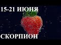 ГОРОСКОП СКОРПИОН 15-21 ИЮНЯ ТАРО