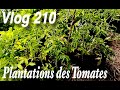 Sel depsom et oeufs pour planter les tomates  potager 2022 vlog 210