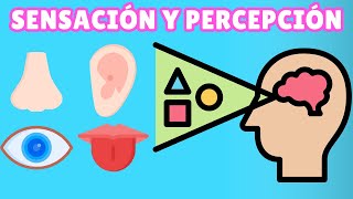 ¿Qué es Sensación y Percepción y Cuáles son sus Diferencias? by APRENDAMOS PSICOLOGIA 2,540 views 1 month ago 3 minutes, 28 seconds