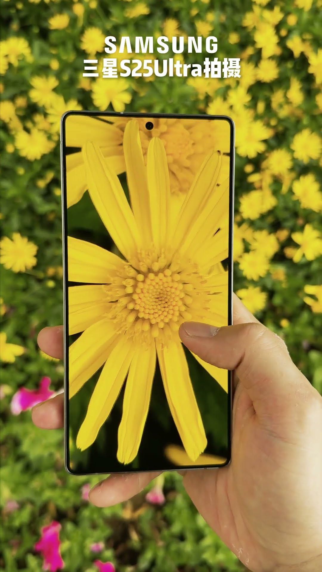 #Samsung #Digital Technology #Mobile Phone #Mobile Photography #Outdoor Photography