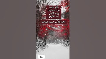 فَلِلَّهِ الْحَمْدُ رَبِّ السَّمَاوَاتِ وَرَبِّ الْأَرْضِ رَبِّ الْعَالَمِينَ الآية 36 سورة الجاثية