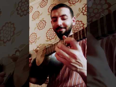 Sahin Hesenov Tar Improvisation Tar Popmusic