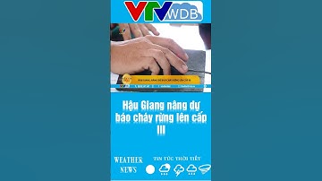 Hậu Giang nâng dự báo cháy rừng lên cấp III | VTVWDB