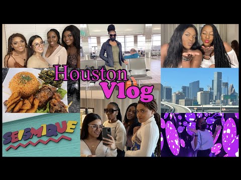 VLOG: a weekend in Houston, girls trip/ Edna's birthday edition! nigerian restaurant, mall, etc!