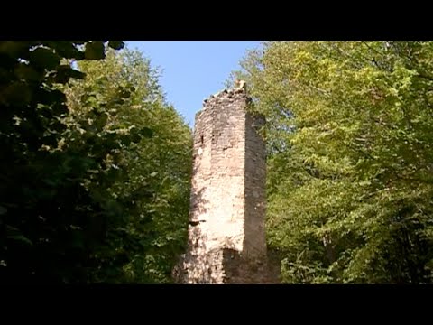 უღრან ტყეში დაკარგული შუა საუკუნეების ციხე-ქალაქი კვეტერა