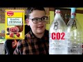 CO2 z jedlé sody a kyseliny citronové - můj první pokus / KonAkva #32