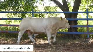 Lot 456: Lilydale Utah