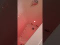 Refresh your mood with Chromatherapy lights in your walk in tub !