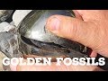 Golden Fossils: Ep 1