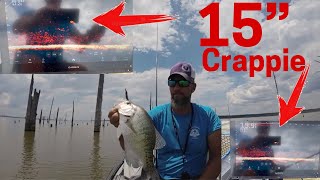 What do Big Crappie look like on Livescope