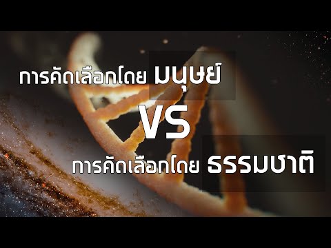 การคัดเลือกโดยมนุษย์ vs การคัดเลือกโดยธรรมชาติ   - คอสมอส ตอนที่ 3