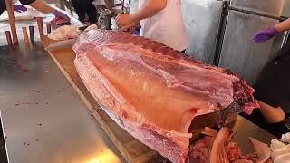 Luxurious Sashimi   700 pounds giant bluefin tuna hd