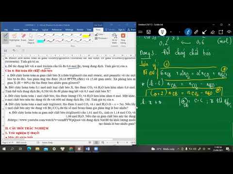 Video Hóa 12: Chương 1: Bài tập chất béo (p2) - youtube