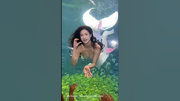Top 10 tạo hình tiên cá khiến bạn ngỡ ngàng #mermaid #short