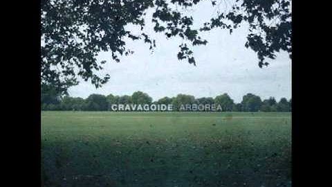 Cravagoide - Shorea Argentfolia
