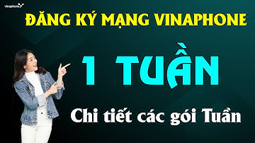 Đăng ký mạng vina 1 tuần ❤️Chi Tiết Các Gói Cước Tuần DATA TỐC ĐỘ CAO