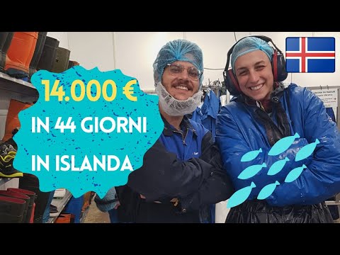 Video: I 7 Modi Migliori Per Spendere I Tuoi Soldi In Islanda, Secondo La Gente Del Posto