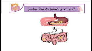 درس الهضم والجهاز الهضمي+ حل التدريبات| الصف الرابع | العلوم | الدرس  الرابع
