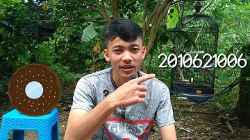 TUGAS BAHASA INGGRIS | PROCEDURE TEXT | ILHAM AGUNG FEBRIAN_2010621006