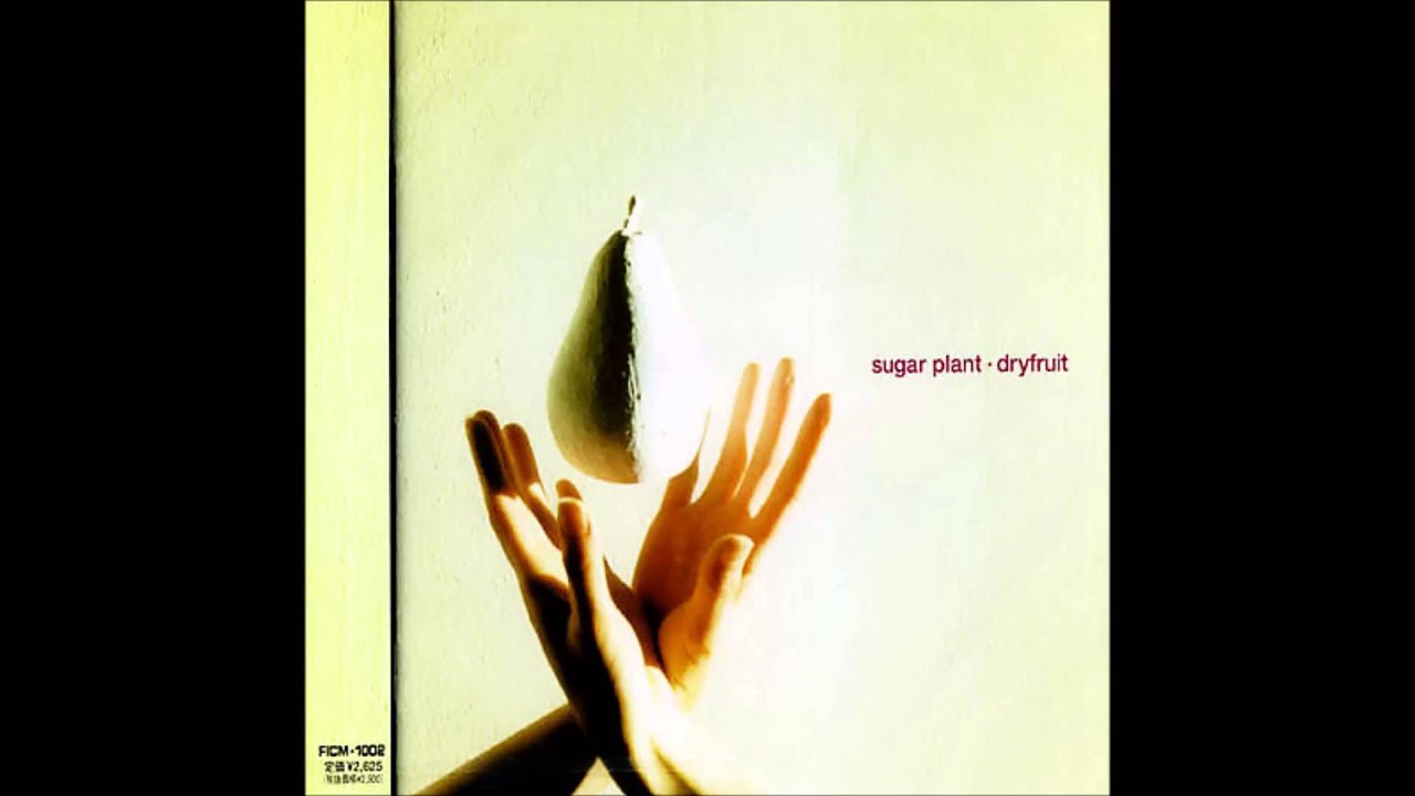 Sugar Plant A Rain Discretion YouTube