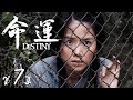 《命運》第7集  Destiny EP7【天下衛視官方頻道 Sky Link TV】