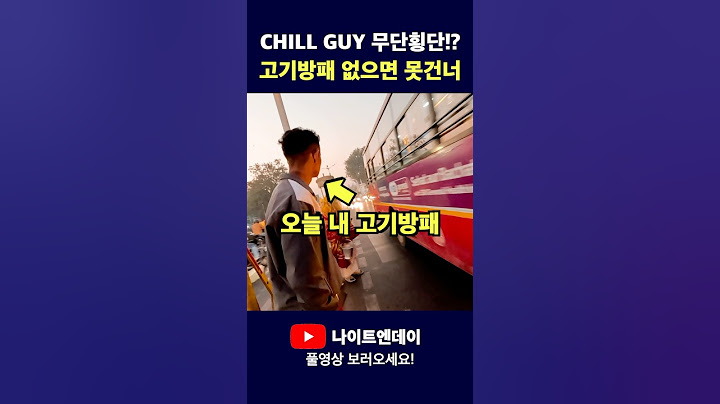 Chill Guy in 인도?! 헬 난이도 무단횡단