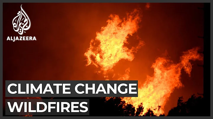 US: Experts warn catastrophic wildfires could be new normal