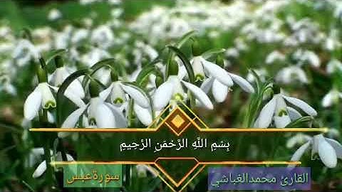 ترتيل سورة عبس بصوت القارئ الصاعد المتقن محمد الغباشي