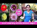 ಸ್ನೇಹಾಳ ಗಾರ್ಡನ್ ನೋಡಿ Sneha's Garden and flowers [Kannada Vlogs] - Mr and Mrs Kamath