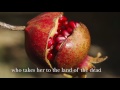 Book trailer for Chrysomelia Stories series (Persephone's Orchard, Underworld's Daughter, Immortal's Spring)