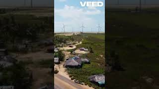 The Epic Letter of Pedro Vaz de Caminha: A Glimpse into Brazil’s Discovery Net Worth