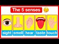Understanding Human Senses