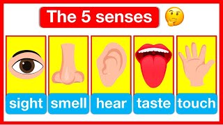 5 Senses Full Video | Sight 👁️ , Smell 👃, Hearing👂, Taste 👄, Touch ✋ | Easy Learning Video by Learn Easy Science 9,114 views 6 months ago 13 minutes, 2 seconds