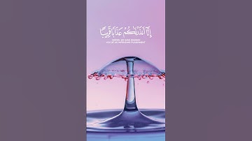 سورة النبأ - زين العابدين الحديدي