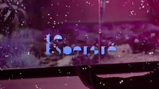 Arcangel - Te Esperare Slowed