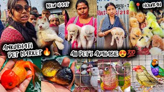 Ankurhati Pet Market | Dogs Aquarium Fish Exotic Birds Pigeon| Cheapest Wholesale Retail Haat Howrah
