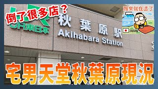 店家還好嗎？動漫模型天堂秋葉原2022現況 