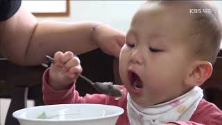 [KBS제주] 20180524 제주가 보인다