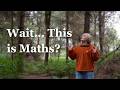 Is This The Most Beautiful Creation in Mathematics?