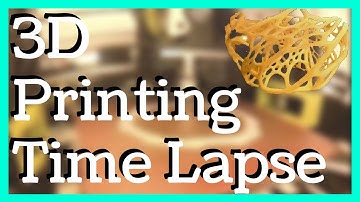 3d Printing Time Lapse | Cellular Lamp